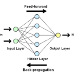 What are Artificial neural networks (ANNs)